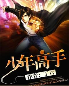 少年高手