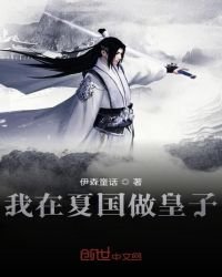 我在夏國做皇子