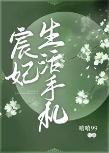 宸妃生活手札