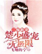 二嫁新妻：楚少盛寵無極限