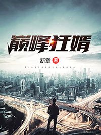 巔峰狂婿