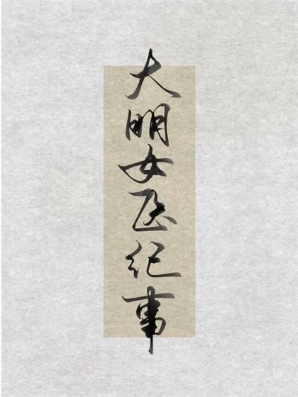 大明女医纪事